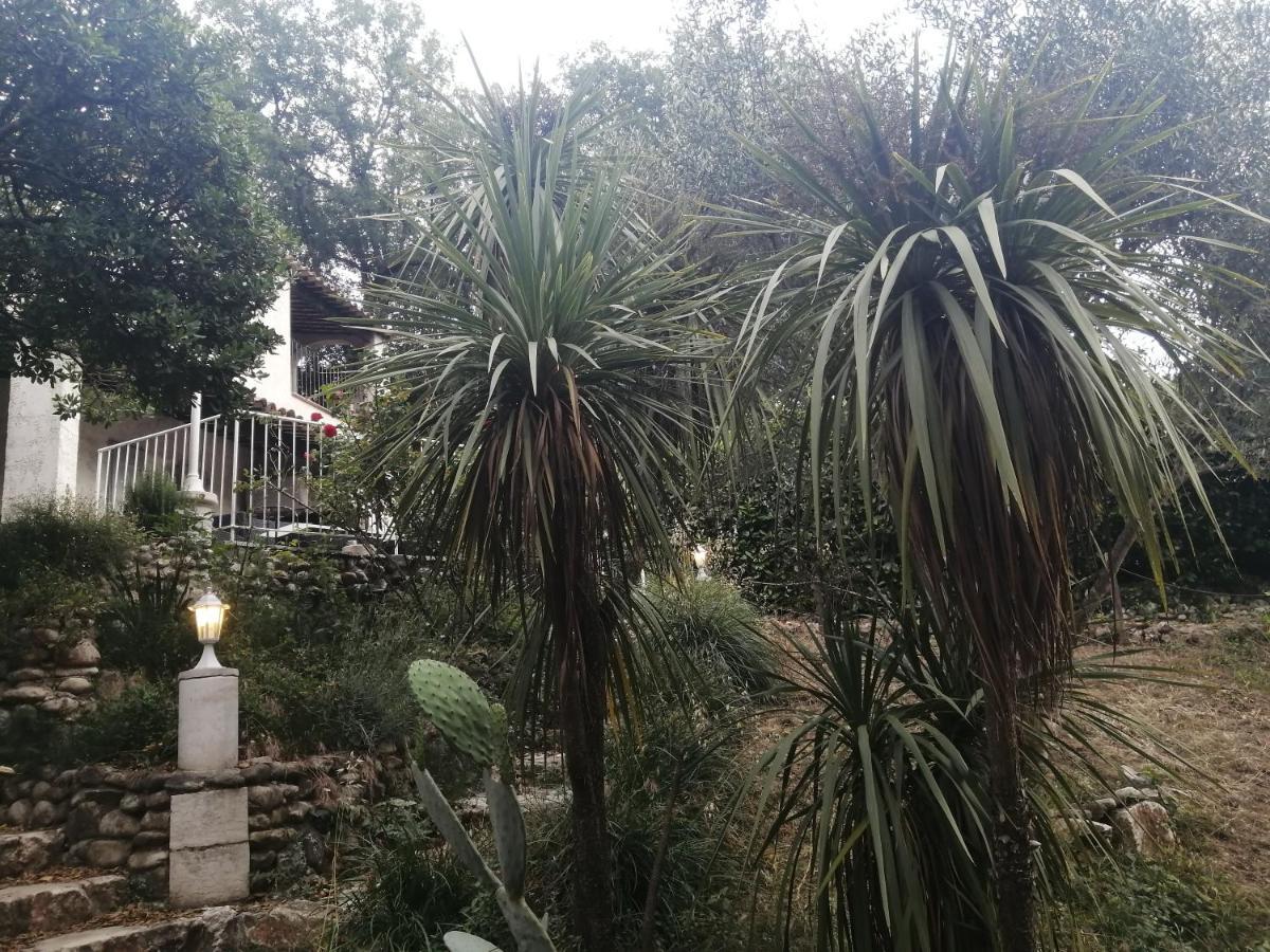 La Mhirabelle Hotell Saint-Paul-de-Vence Eksteriør bilde